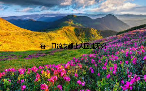 每一口凉皮都让人回味无穷