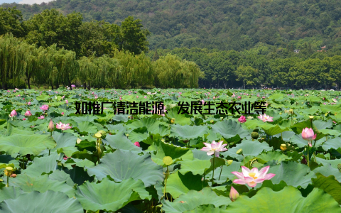 如推广清洁能源、发展生态农业等