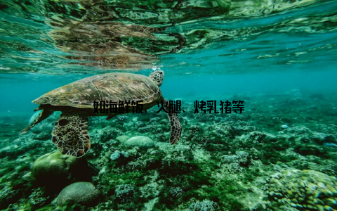 如海鲜饭、火腿、烤乳猪等