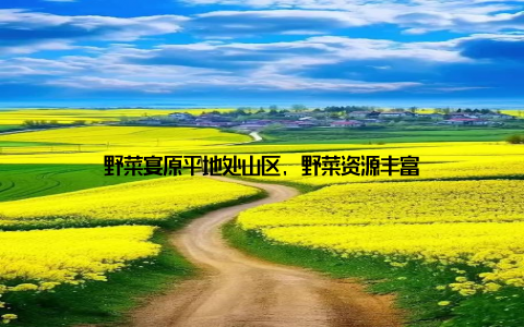 野菜宴原平地处山区, 野菜资源丰富