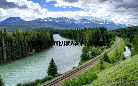 在这里, 您可以挑选到心仪的收藏品