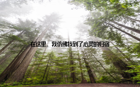 在这里, 我仿佛找到了心灵的归宿
