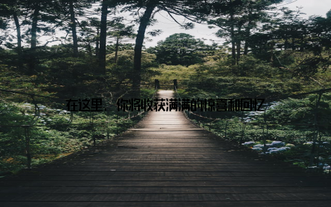 在这里, 你将收获满满的惊喜和回忆