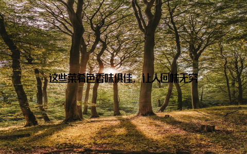 这些菜肴色香味俱佳, 让人回味无穷