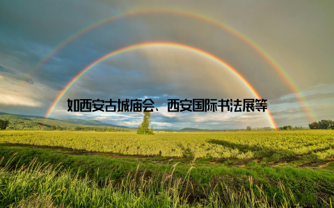 如西安古城庙会、西安国际书法展等